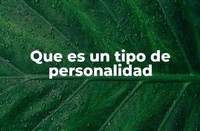 Diferentes enfoques para entender la personalidad