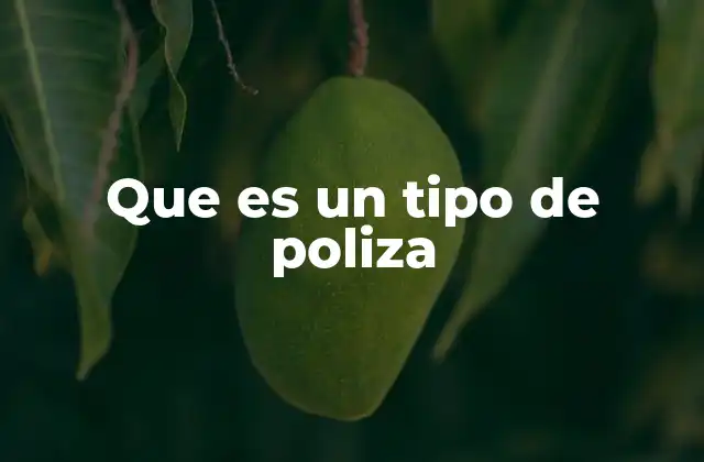 Que es un Tipo de Poliza