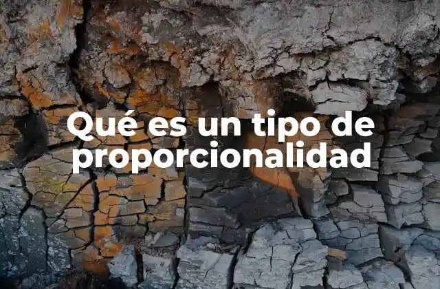 Qué es un Tipo de Proporcionalidad