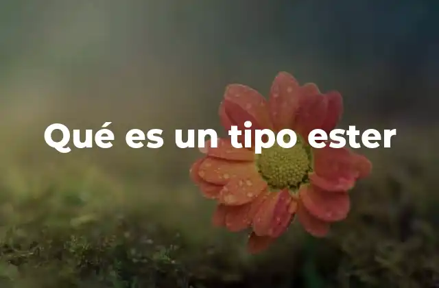 Qué es un Tipo Ester