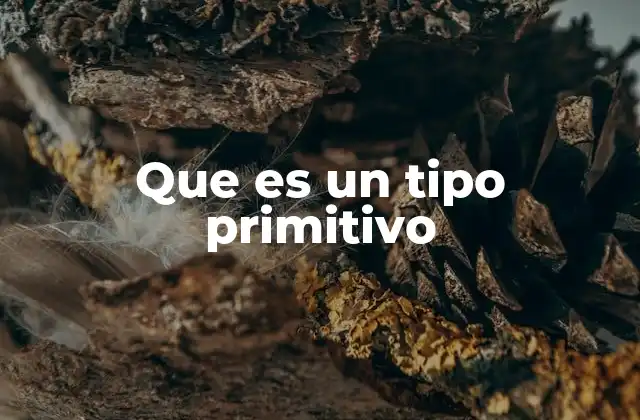 Que es un Tipo Primitivo