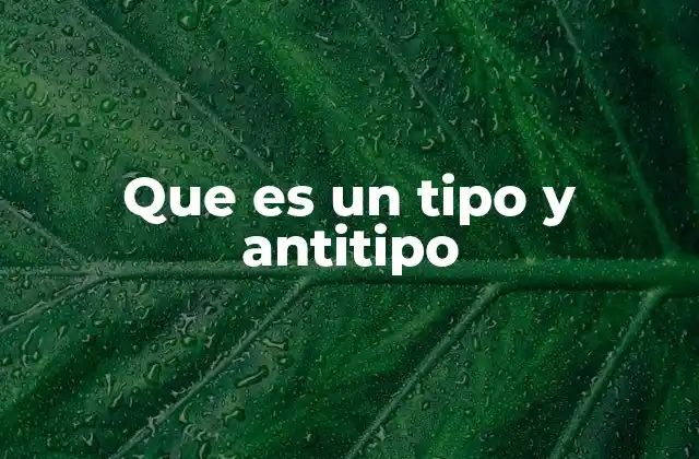 Que es un Tipo y Antitipo