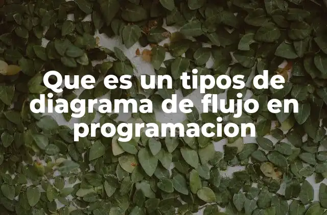 Que es un Tipos de Diagrama de Flujo en Programacion