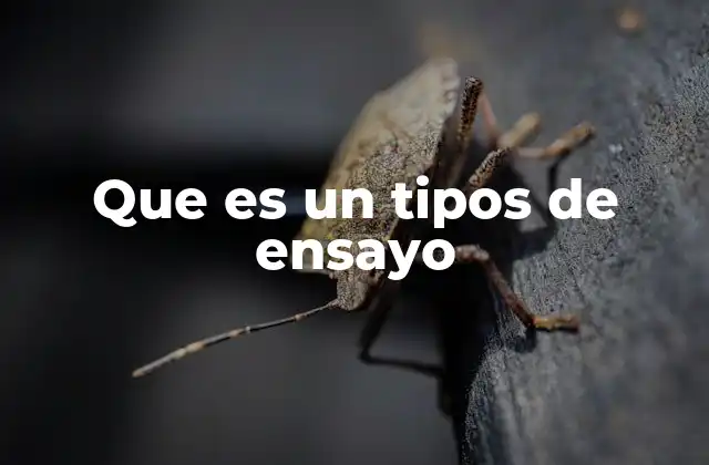 Que es un Tipos de Ensayo