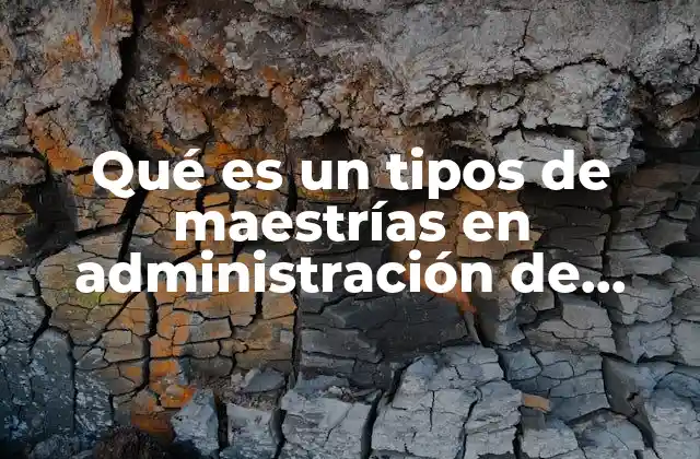 Qué es un Tipos de Maestrías en Administración de Empresas