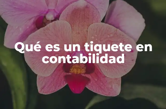 Qué es un Tiquete en Contabilidad