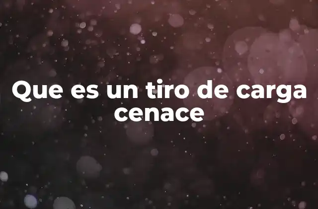 Características técnicas de las cargas CENACE
