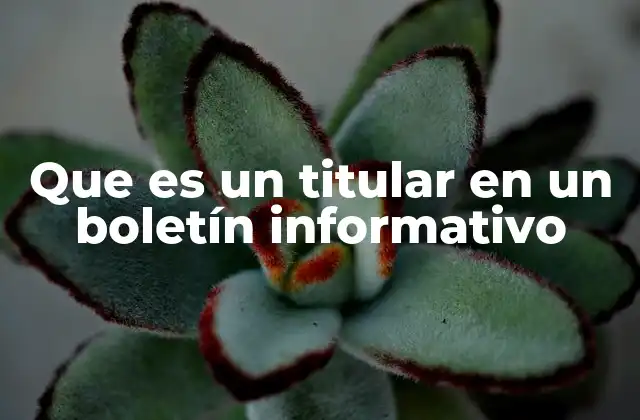 Que es un Titular en un Boletín Informativo