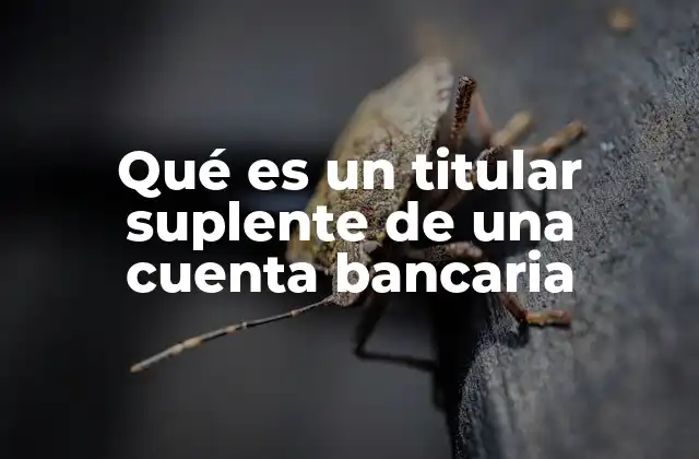 Qué es un Titular Suplente de una Cuenta Bancaria