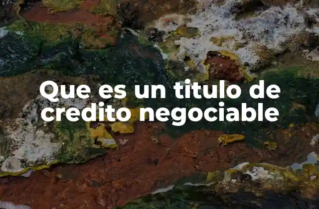 Que es un Titulo de Credito Negociable