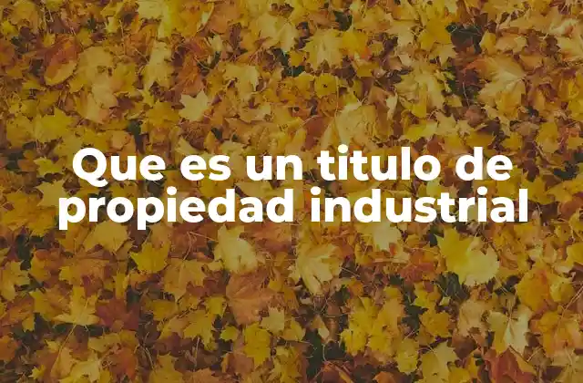 Que es un Titulo de Propiedad Industrial