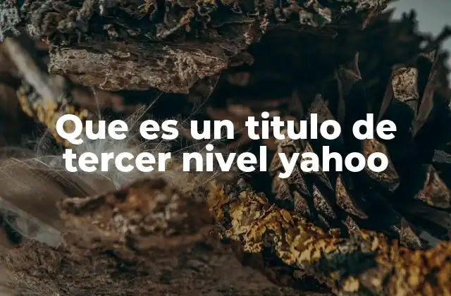 Que es un Titulo de Tercer Nivel Yahoo