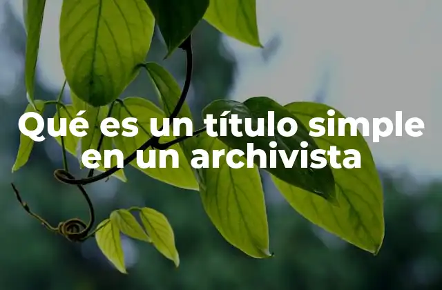 Qué es un Título Simple en un Archivista