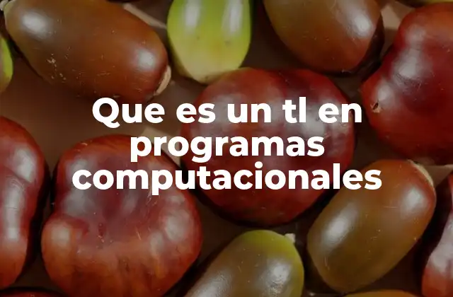 Que es un Tl en Programas Computacionales