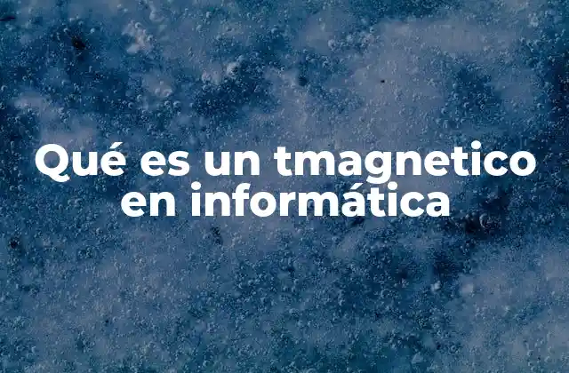 Qué es un Tmagnetico en Informática