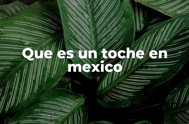 Que es un Toche en Mexico