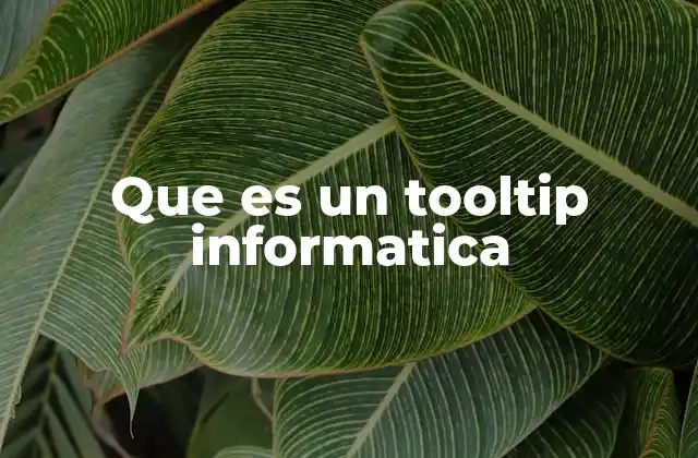 Que es un Tooltip Informatica