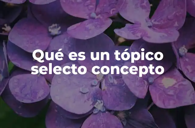 Qué es un Tópico Selecto Concepto