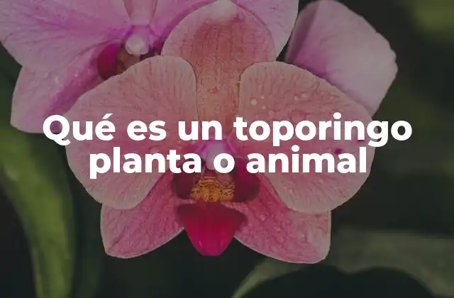 Qué es un Toporingo Planta o Animal