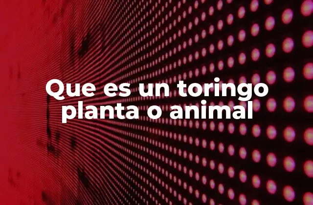 Que es un Toringo Planta o Animal