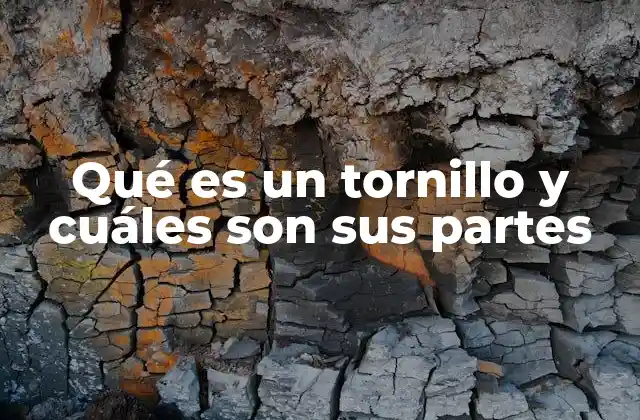 ¿Cómo se clasifican los tornillos según sus funciones y estructuras?
