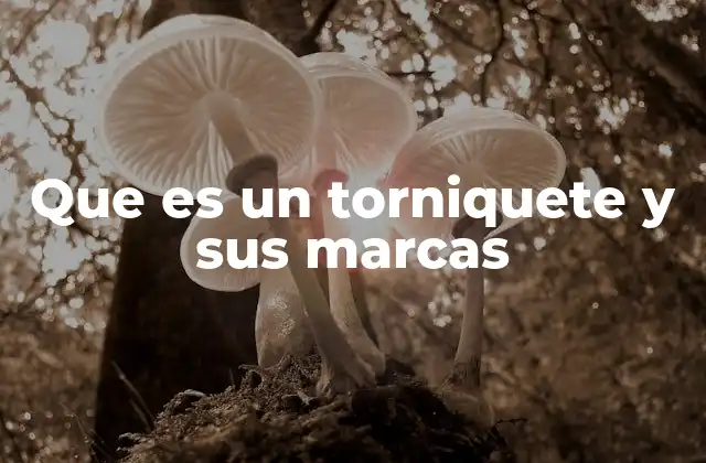 Que es un Torniquete y Sus Marcas