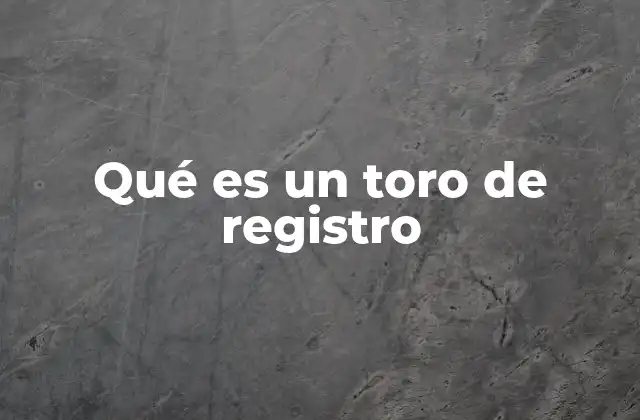 Qué es un Toro de Registro
