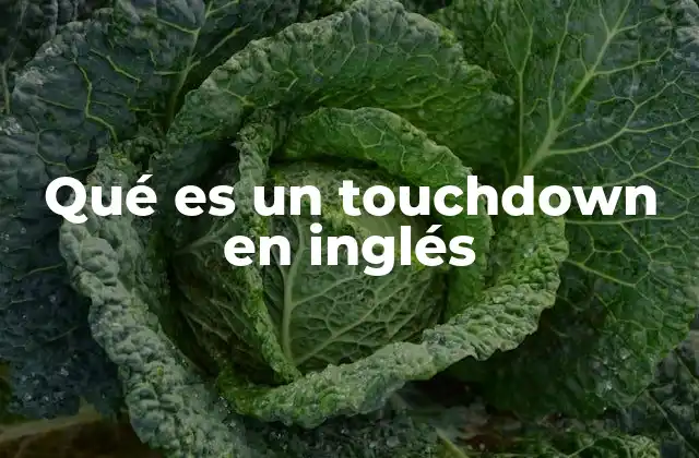 Qué es un Touchdown en Inglés