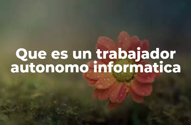 Que es un Trabajador Autonomo Informatica