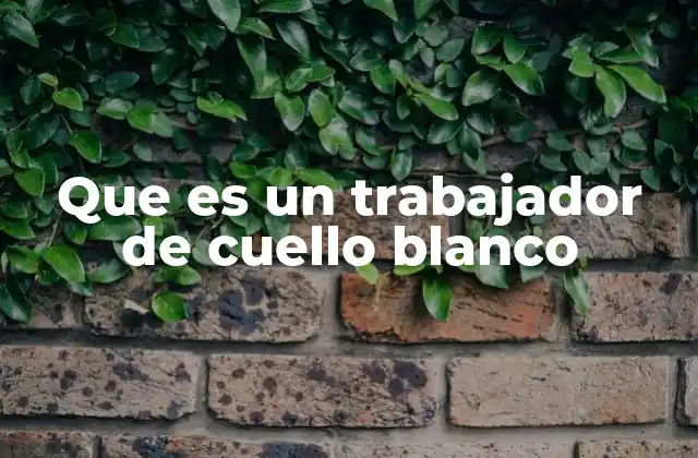 Que es un Trabajador de Cuello Blanco