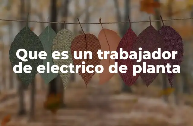 Que es un Trabajador de Electrico de Planta