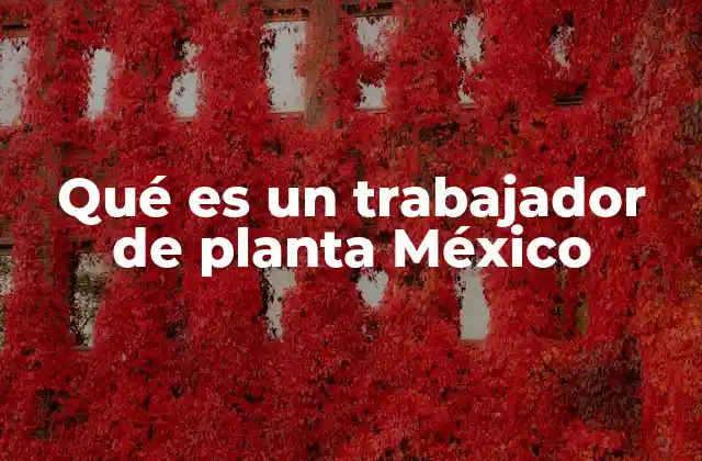 Qué es un Trabajador de Planta México