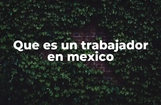 Que es un Trabajador en Mexico