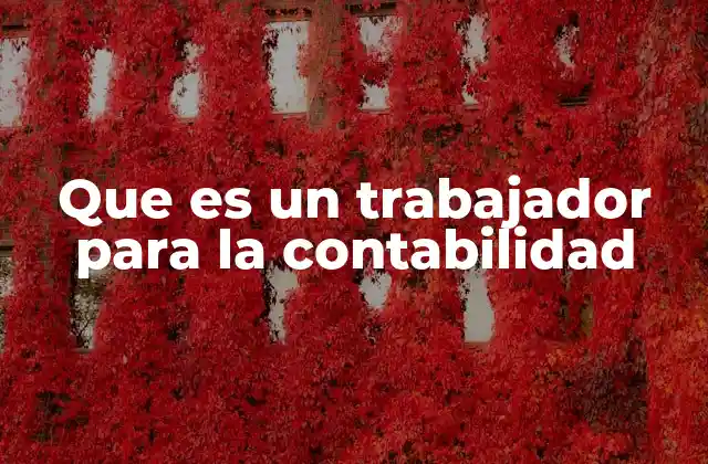 El papel del trabajador contable en el entorno empresarial
