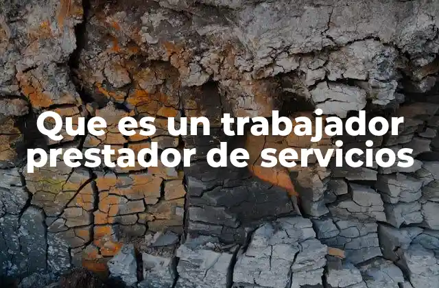 Que es un Trabajador Prestador de Servicios