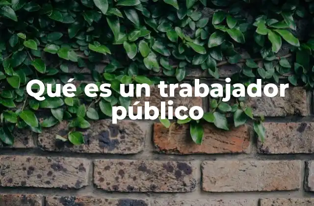 Qué es un Trabajador Público