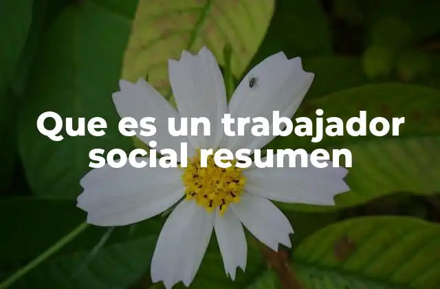 Que es un Trabajador Social Resumen