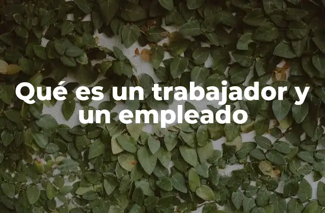 Qué es un Trabajador y un Empleado