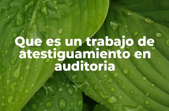 La importancia del atestiguamiento en la gestión financiera