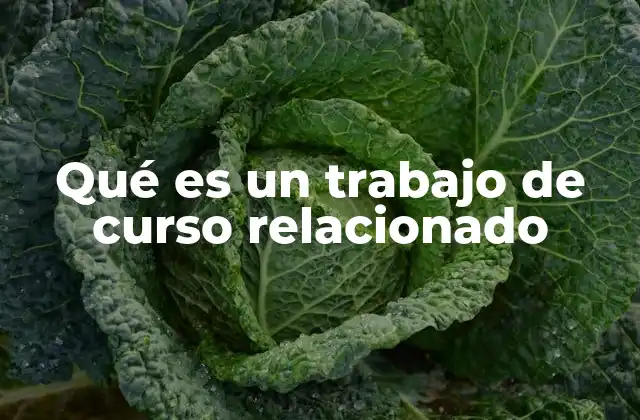 Qué es un Trabajo de Curso Relacionado