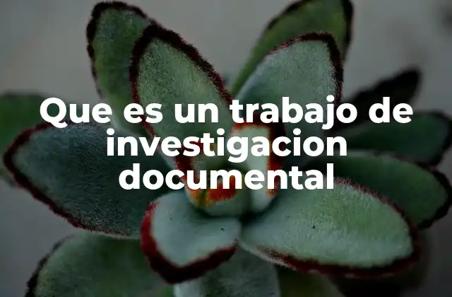 Que es un Trabajo de Investigacion Documental