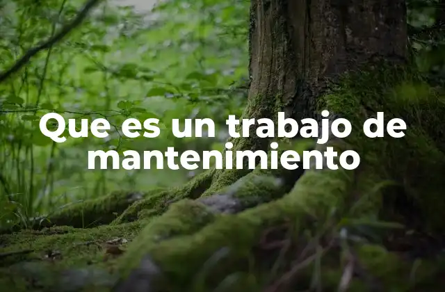 Que es un Trabajo de Mantenimiento