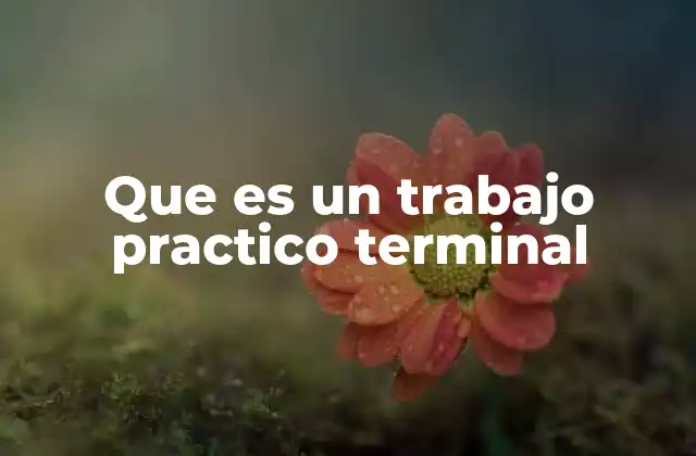 Que es un Trabajo Practico Terminal