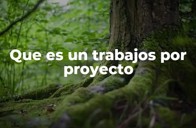 Que es un Trabajos por Proyecto
