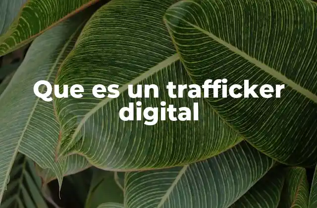 Que es un Trafficker Digital