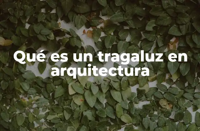 Qué es un Tragaluz en Arquitectura