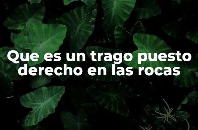 Que es un Trago Puesto Derecho en las Rocas 2 La importancia del hielo en la experiencia de tomar un trago