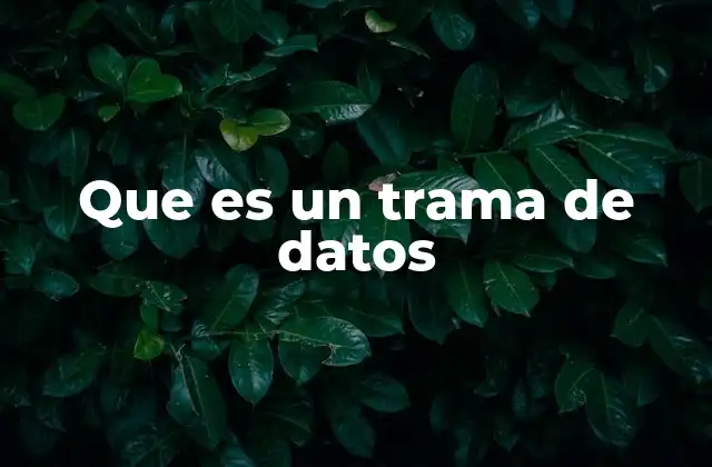 Que es un Trama de Datos