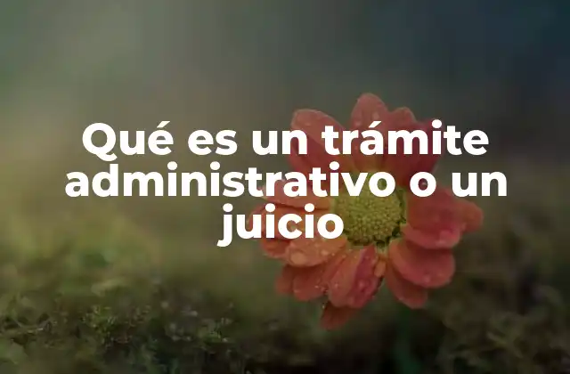 Qué es un Trámite Administrativo o un Juicio