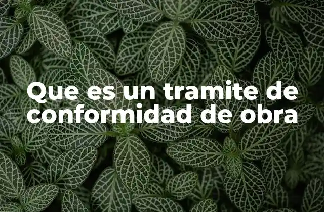 Que es un Tramite de Conformidad de Obra